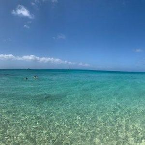 Meet your Posher, Molly